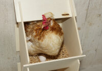 Hühner Legenest aus Holz unmontiert 2 Nester,...